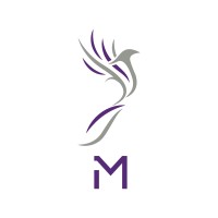 iflyMJets logo - Similar company to Executive Wings Operated By Siam Land Flying Co., Ltd.