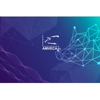 AMVECAJ A.C. logo - Similar company to Gabsa