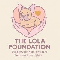 The Lola Foundation logo - Similar company to Forces Online Cio