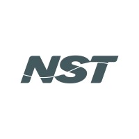 NST E-Business logo - Similar company to Valorup Tech