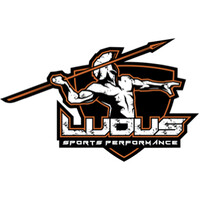 Ludus Sports Performance logo - Similar company to The Rowing Pavilion