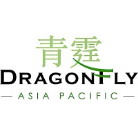 Dragonfly Asia-Pacific logo - Similar company to Davem Training Services Ltd