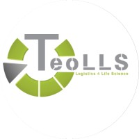 TEO LLS logo - Similar company to Rapidex Logistics