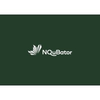 Nqubator logo - Similar company to Revive Corporate Finance Advisory Services Llc