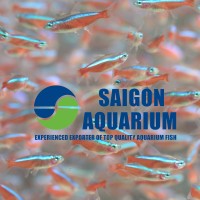 Saigon Aquarium Corp. logo - Similar company to Tropical Fish Express