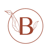 Bloomier logo - Similar company to Ideas For Impact Sustainability Agency
