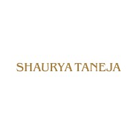 Shaurya Taneja logo - Similar company to Evolve Digital