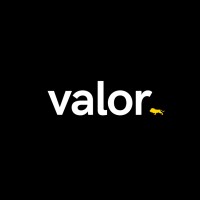 Valor Coaching Agency logo - Similar company to Valor Performance, Inc.