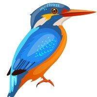 Kingfisher Home Improvements