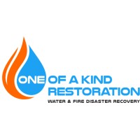 One of a kind Restoration logo - Similar company to Nimble Retail