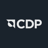 CDP Türkiye logo - Similar company to Ecotone