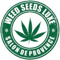 Weedseedsluxe logo - Similar company to Pbc Le Studio