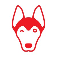 Red Dog WiFi Solutions logo - Similar company to Elitium