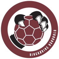 Ringkøbing Håndbold ApS logo - Similar company to Seasight Solutions