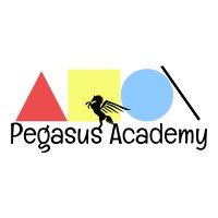 Pegasus Academy 4 codes logo - Similar company to Orgorbit