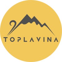 Toplavina Marketing Agency