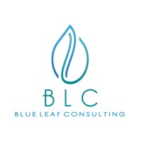 Blue Leaf Consulting logo - Similar company to Berkeley Systems