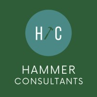 Hammer Consultants logo - Similar company to Choice Loans