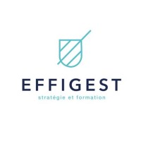 Effigest Formation logo - Similar company to Effigest | Stratégie Et Expertise Comptable