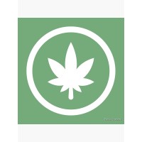 buscannabis.info logo - Similar company to Simoa