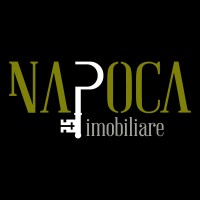 NAPOCA IMOBILIARE logo - Similar company to Youngworks