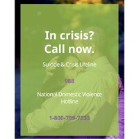 FAMILY COUNSELING SERVICES OF NORTHERN ILLINOIS logo - Similar company to Life Decisions