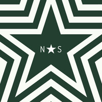 North Star Coffee Roasters logo - Similar company to Intermission Coffee