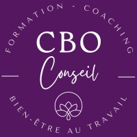 CBO Conseil - Officiel logo - Similar company to Reciprok Actions