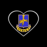 2Nd Brigade Combat Team 