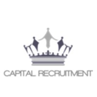 Capital Recruitment Ltd logo - Similar company to Kbs Technology