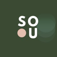 SOU CONSULTORIA logo - Similar company to Skillsmapping