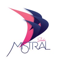Studio Mistral logo - Similar company to Mistral Studio