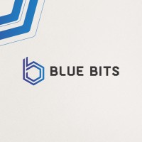 Blue Bits Team logo - Similar company to Raizer