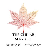 THE CHINAR SERVICES logo - Similar company to Amet Haveli