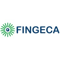 Fingeca logo - Similar company to Pm Group Consulting