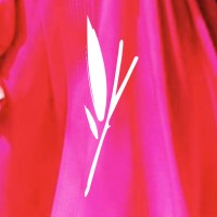Village Wellness Spa logo - Similar company to Brain Wellness Spa