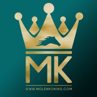 Molenkoning BV logo - Similar company to Cap Projecting