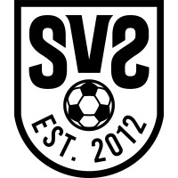 SV2 MEDIA logo - Similar company to Khalil Dase