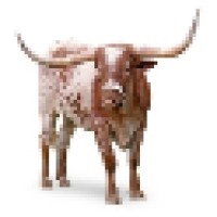 University Of Texas