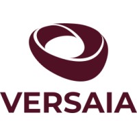 Versaia logo - Similar company to Infoartix