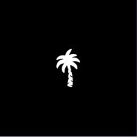 Palm Tree Crew Holdings logo - Similar company to Palm Tree Crew Investments