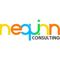 Nequinn Consulting logo - Similar company to Precision Bim Services