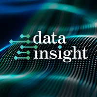 DataInsight SIA logo - Similar company to Tigsipay