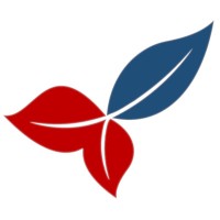innochain logo - Similar company to Innochain Kapital