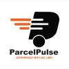 ParcelPulse logo - Similar company to Ademas Group Srl