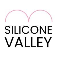 Silicone Valley Concealers logo - Similar company to Taktilesdesign Gmbh