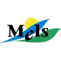 Gemeinde Mels logo - Similar company to Gemeinde Walenstadt