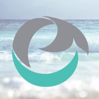 FlipperSplash logo - Similar company to First Page Digital Solutions™