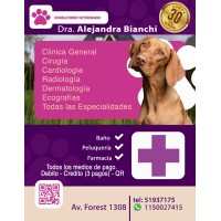 CONSULTORIO VETERINARIO logo - Similar company to Interacel