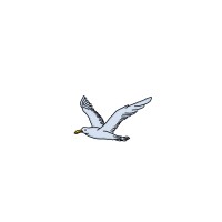 Blue Seagull Group logo - Similar company to Z-Band Technologies